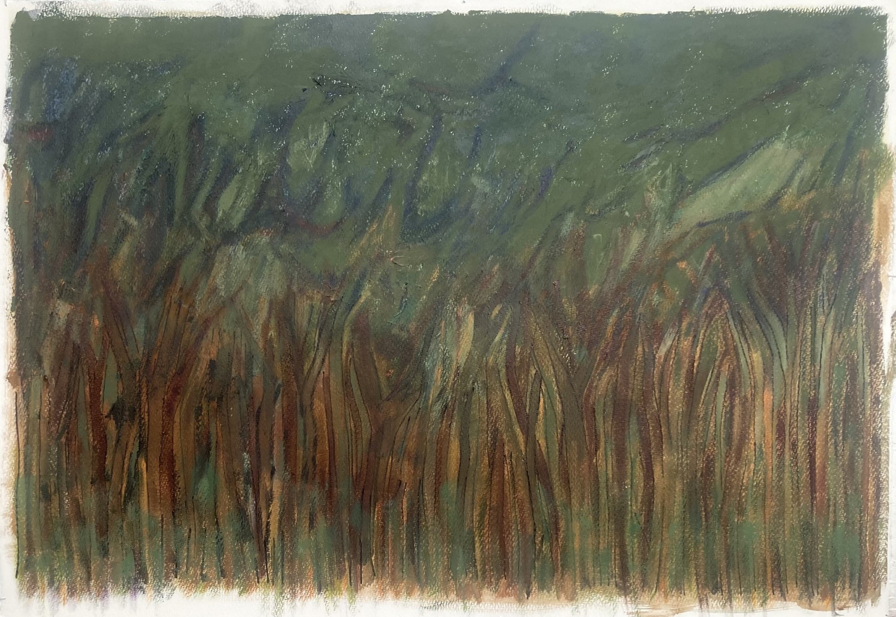 N° B 529 - Forêt - Acrylique et pigments sur papier - 70 x 100 cm - 21 juillet 2023